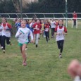  Domenica 01 marzo ultima gara di campestre per i nostri ragazzi e ragazze, svolta a Livorno nell’ippodromo Caprilli. Folta la nostra presenza alla gara odierna, […]