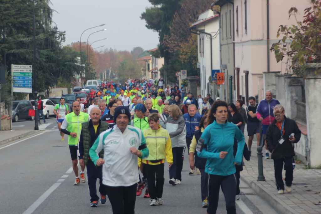 19° Passeggiata tra le colline colligiane.