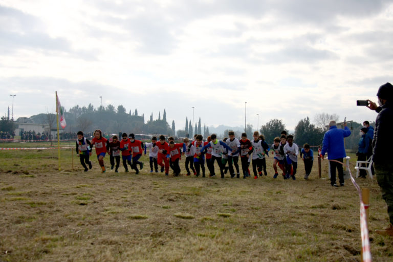 Campestre Collesalvetti